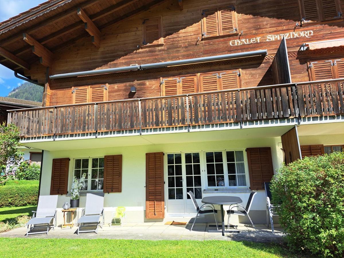 Chalet Spitzhorn - Your Peak Getaway - Private Terrasse & Gratis Parkplatz Гштайг Экстерьер фото